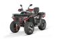 Preview: NITRO MOTORS 300cc maxi Kinder Quad Tricia 80km/h EEC Platin